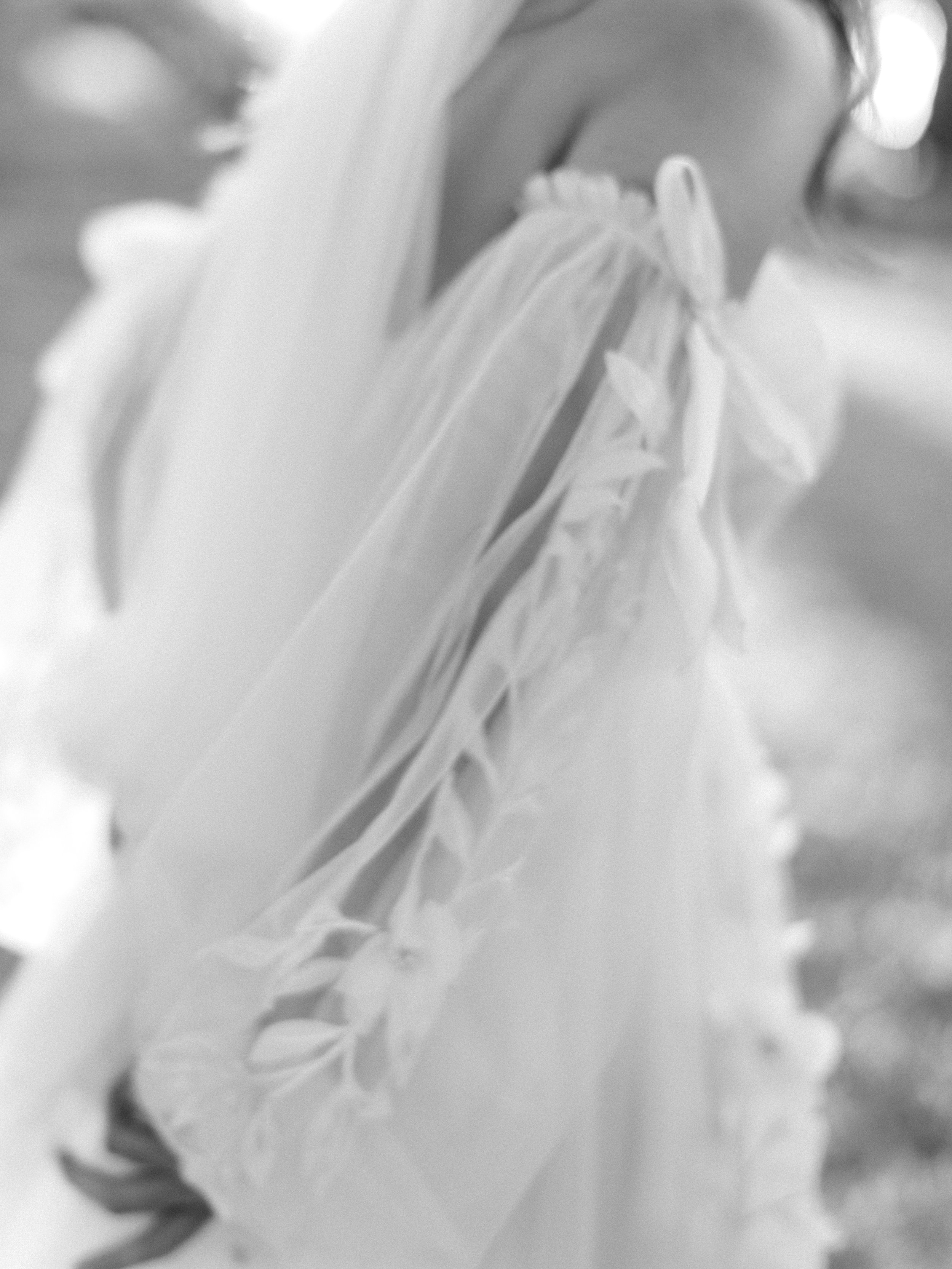 contact-heavenly-day-events-event-planner-texas