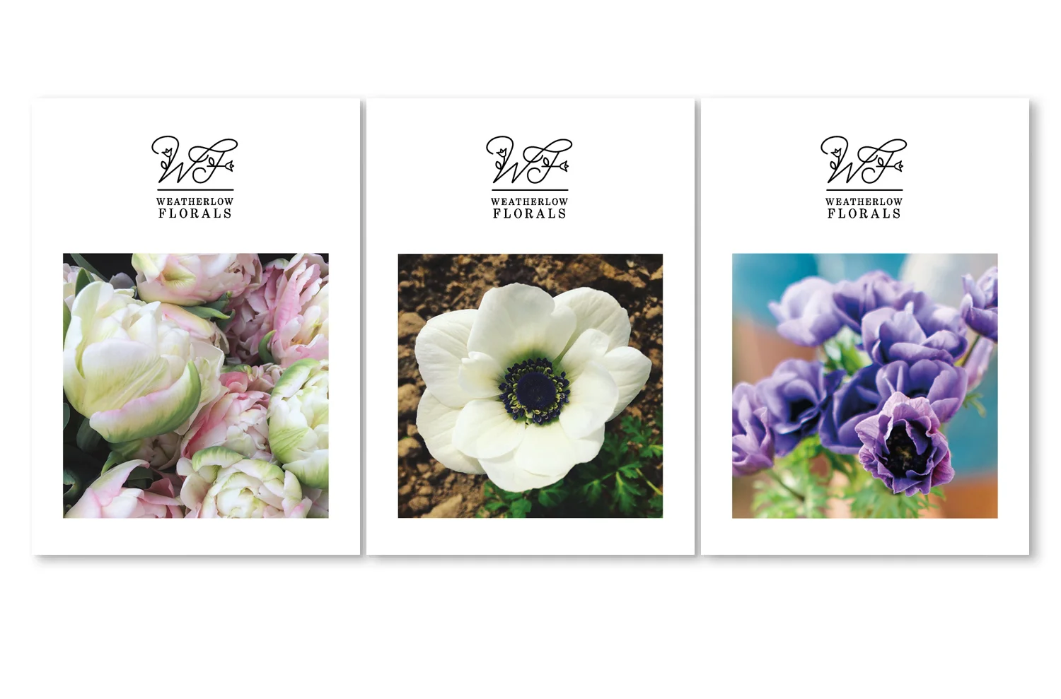 WHTRLW postcards.jpg