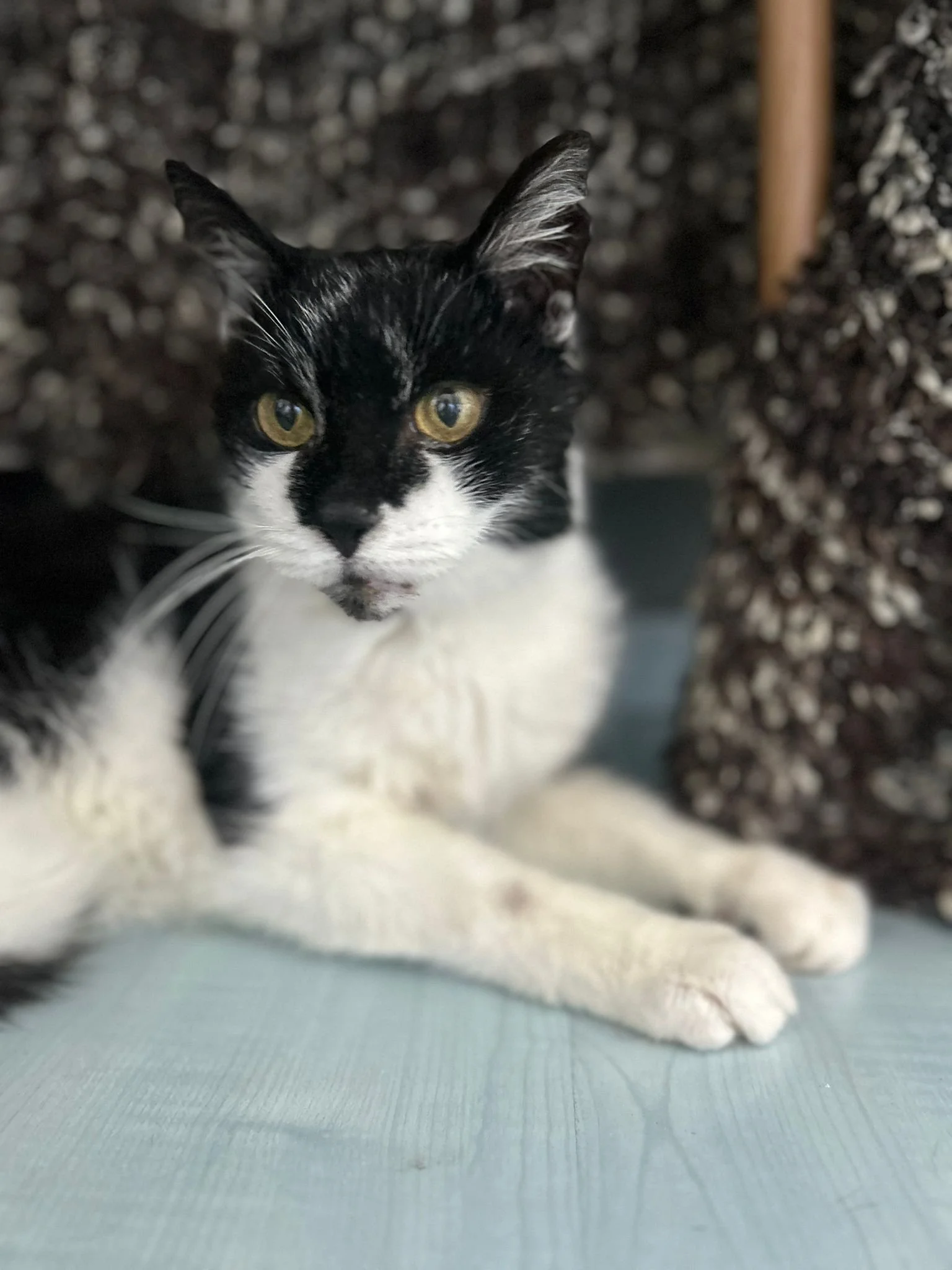 WhatsApp Image 2025-10-23 at 19.56.23.jpeg