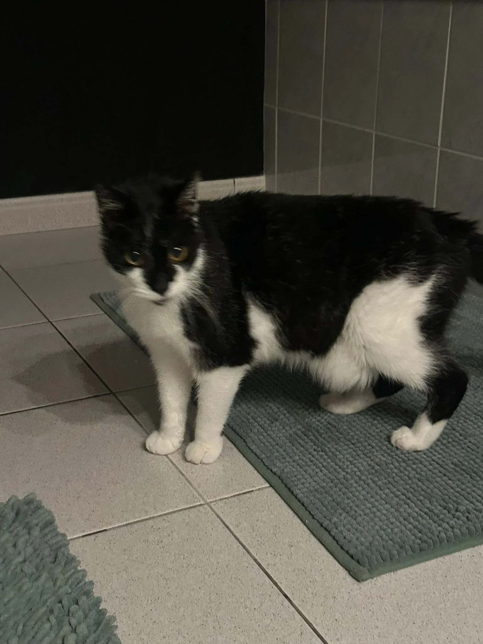 WhatsApp Image 2025-10-23 at 19.55.43.jpeg