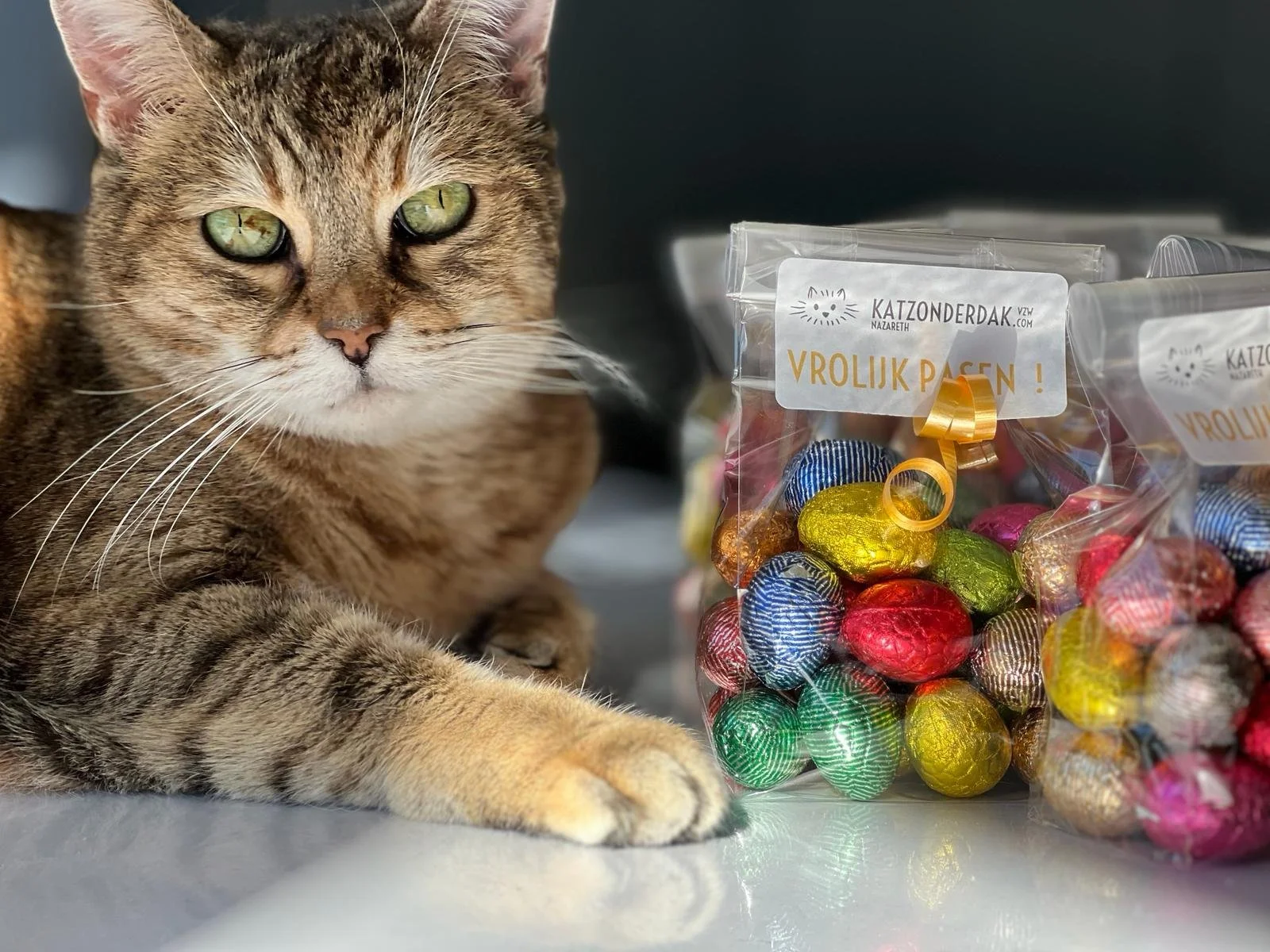 WhatsApp Image 2024-03-04 at 11.58.11.jpeg