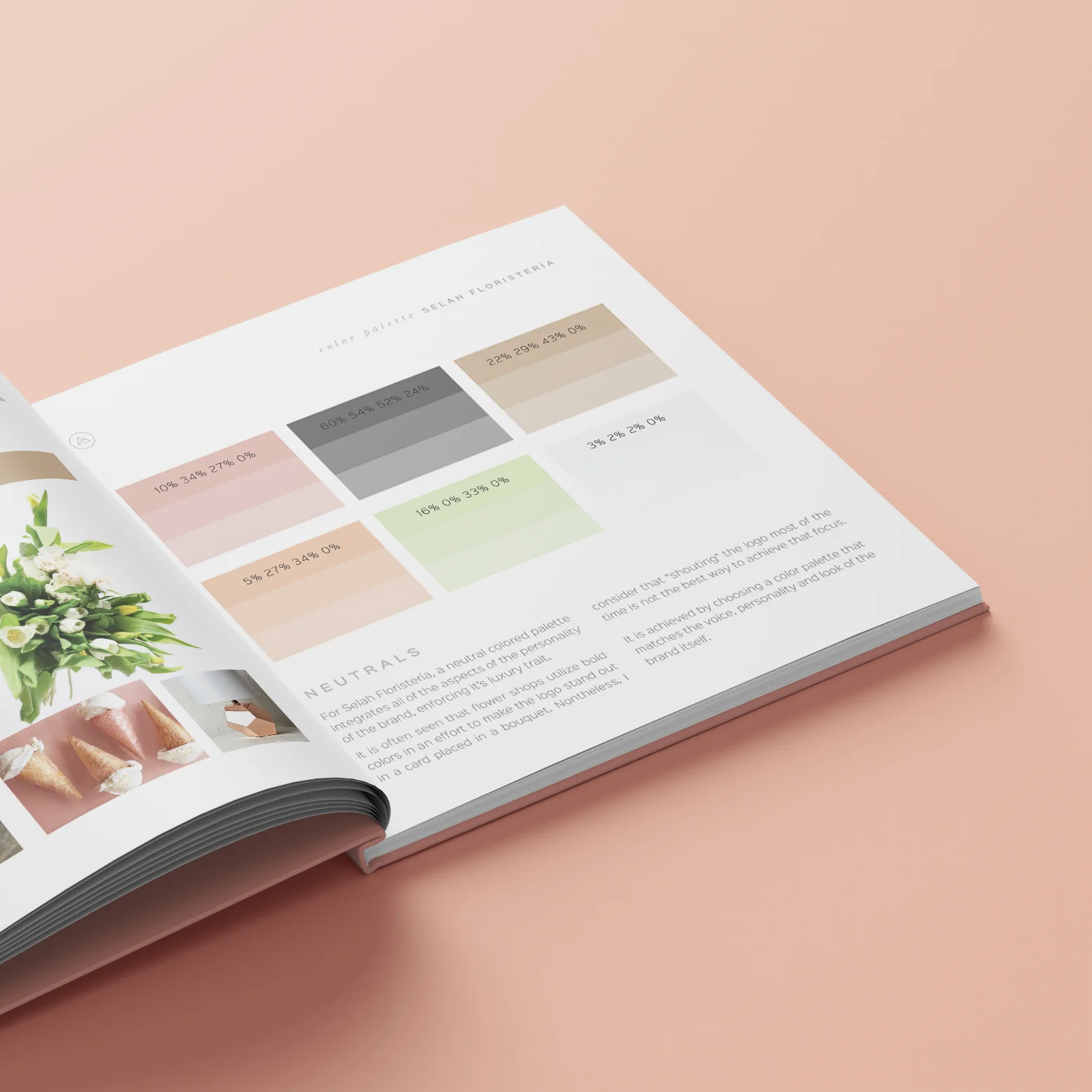 TS_BRAND BOOK_1.jpg