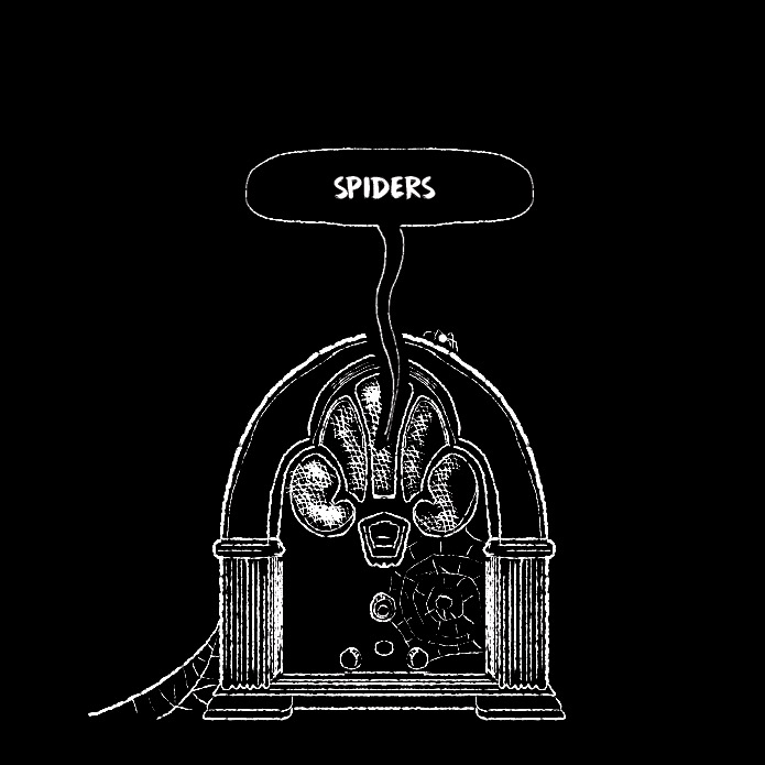 Ep #324 | Spiders