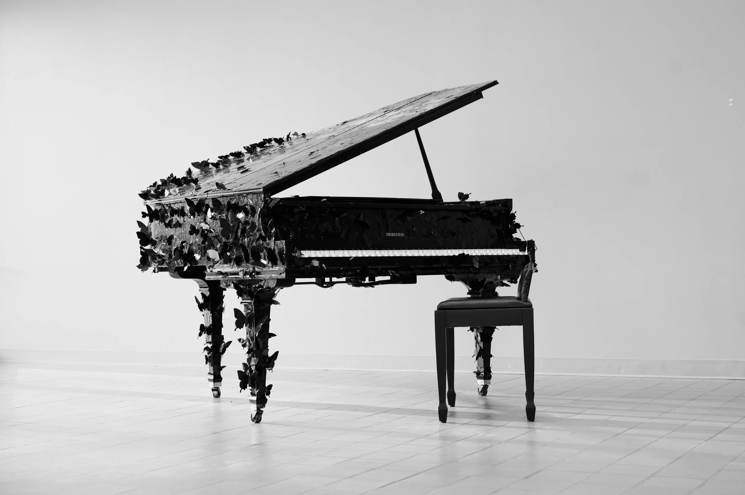 JillWells-9749 (1).jpg