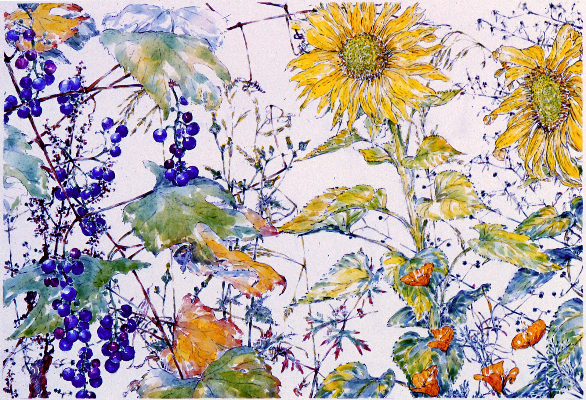 Grapes-Sunflowers-Poppies.jpg