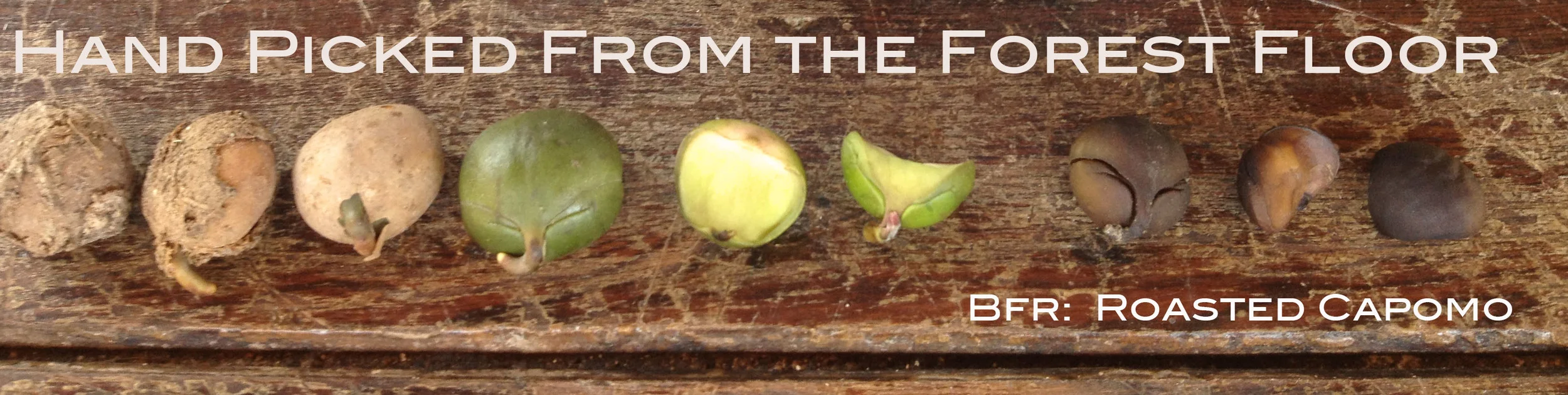 From left to right: dried fruit on the seed becoming our Roasted Capomo