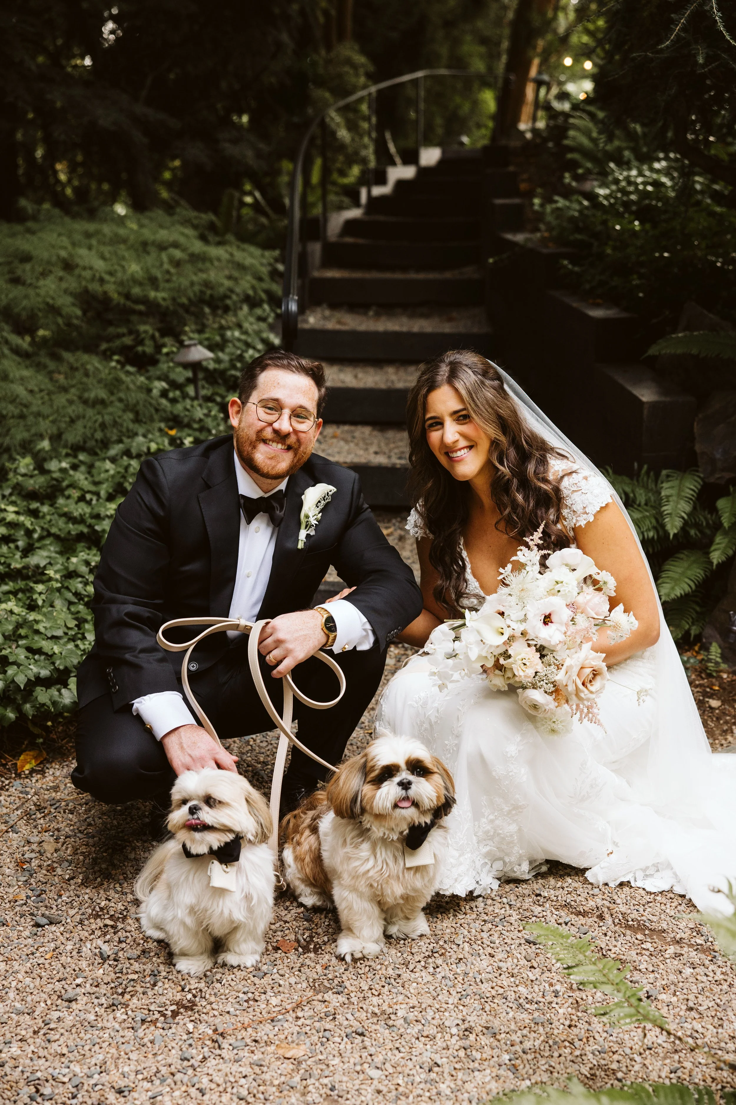 Romantic Dog Portraits