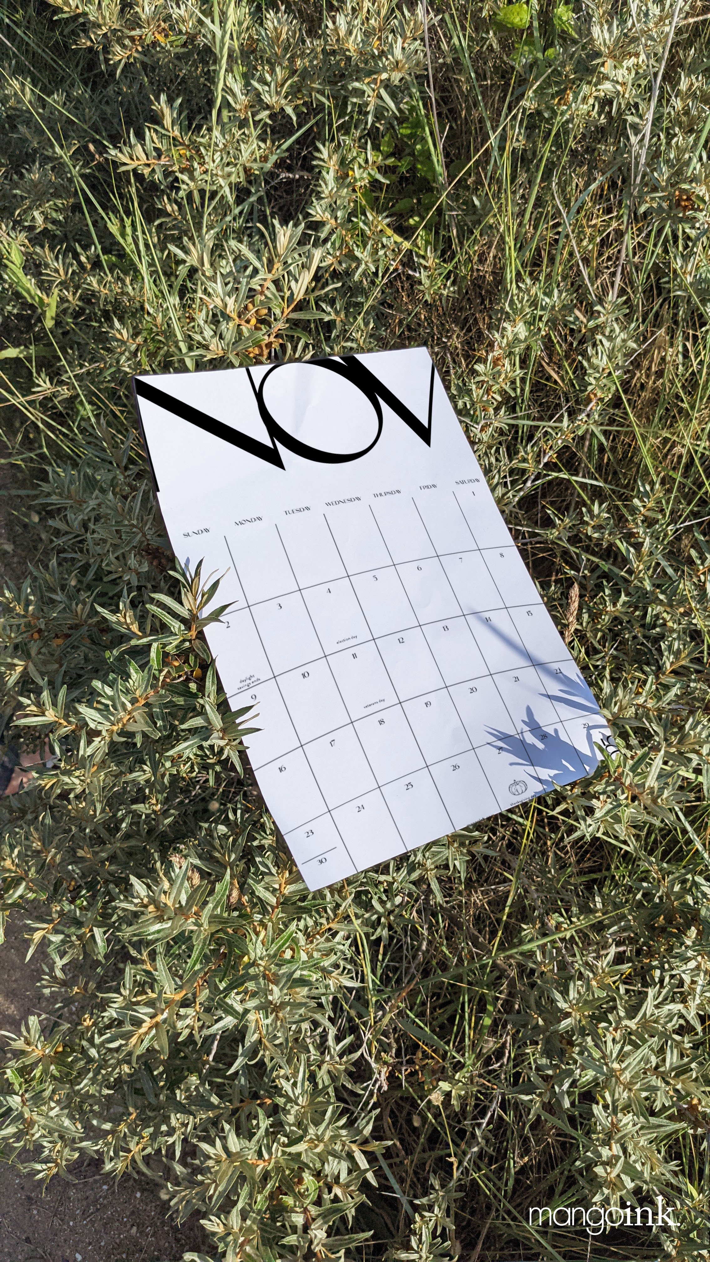 mango_all_year_calendar_2025_mock2 copy.jpg