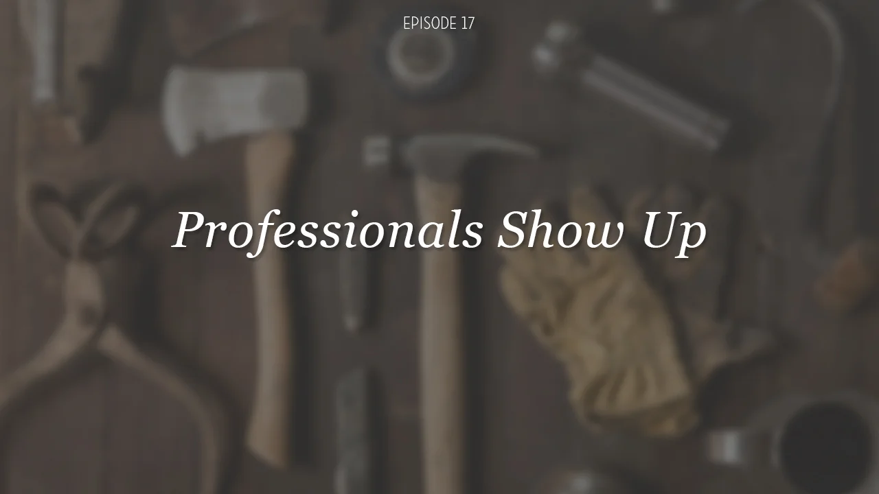 Professionals Show Up (DVG 017)