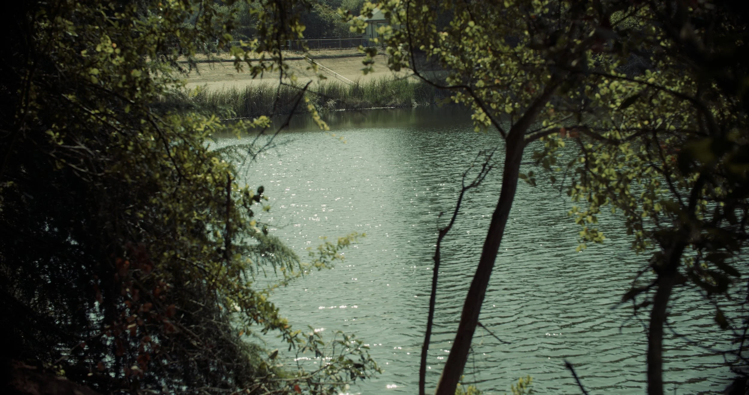 Screen Grabs.00_00_25_09.Still002.jpg