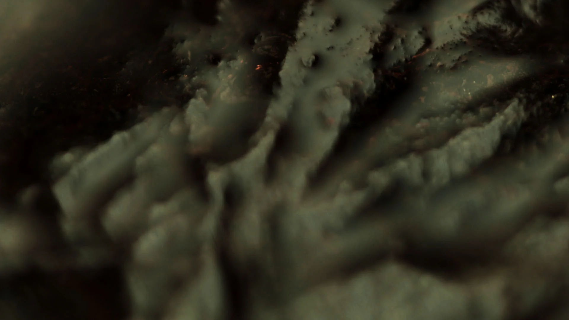 Macro_v008_Placenta22.jpg