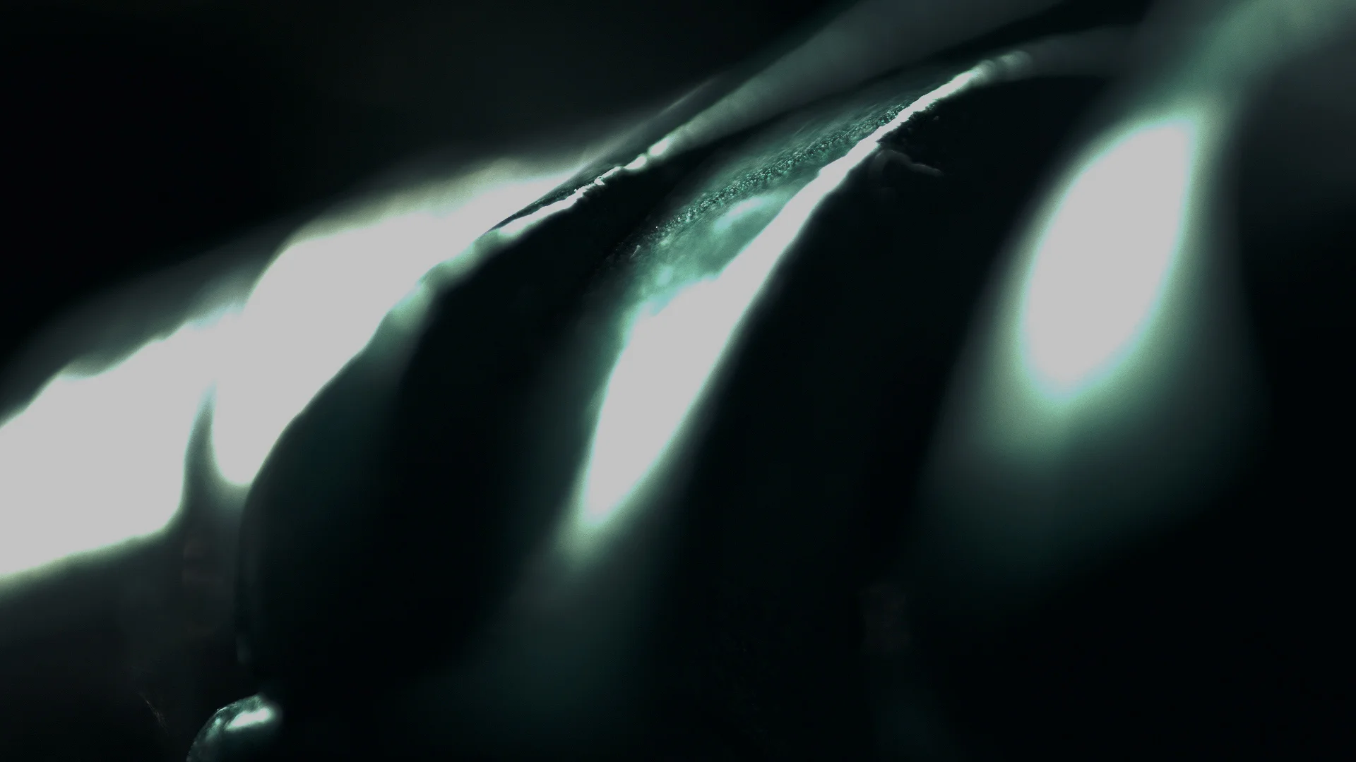 Macro_v10a_voltron_v007.jpg