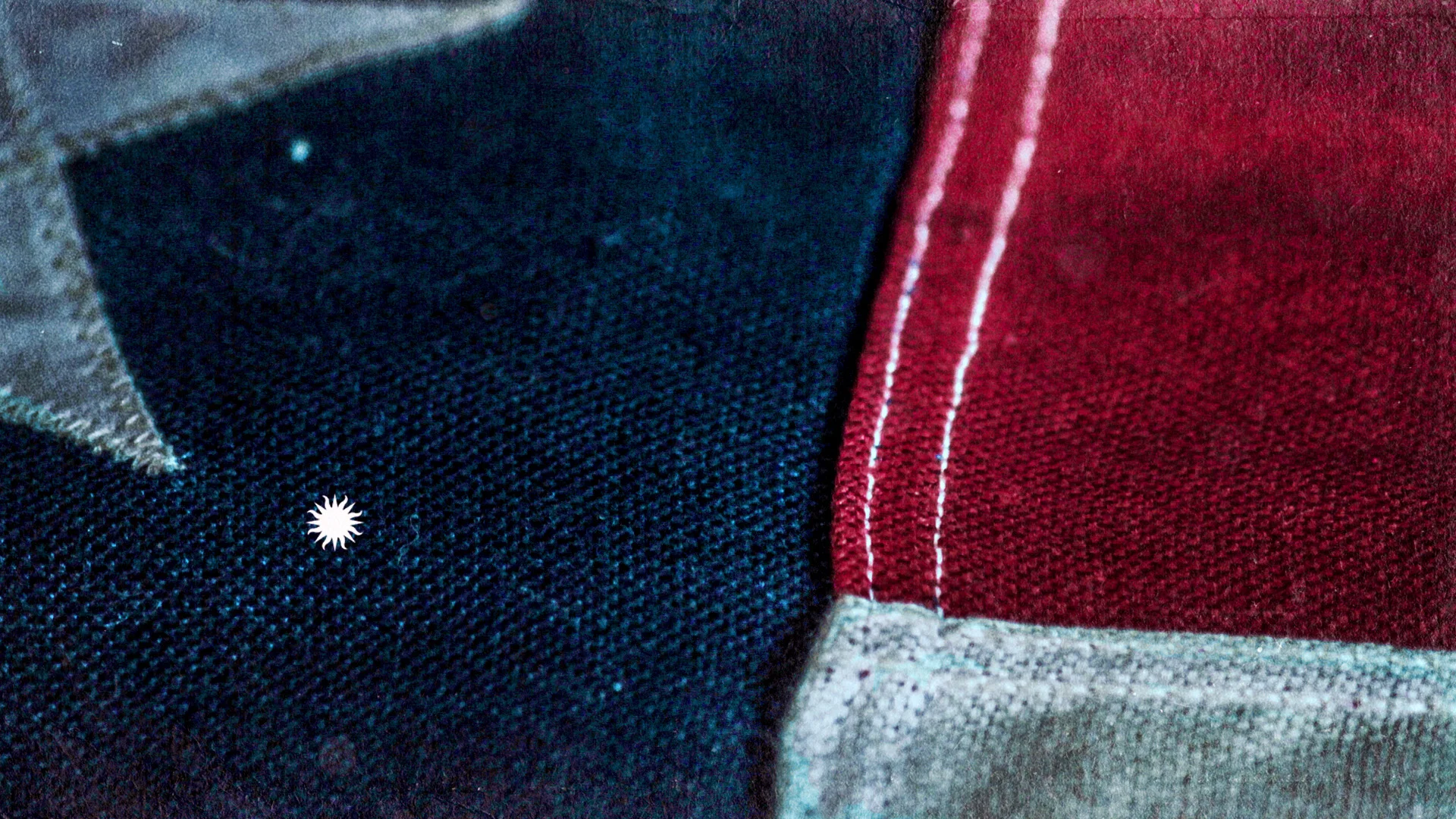 SC_SD_gh_Macro_v06a.jpg