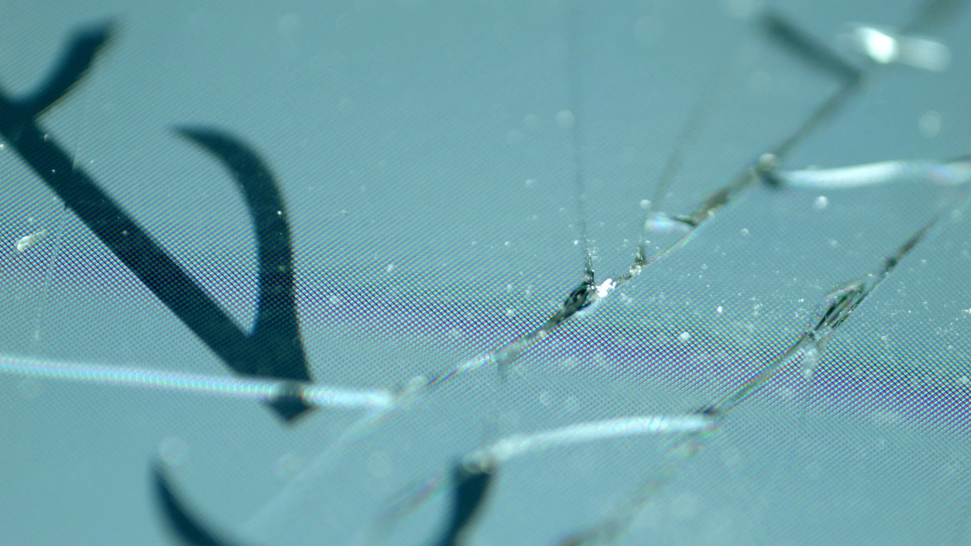 Macro_BrokenIphone_v032.jpg
