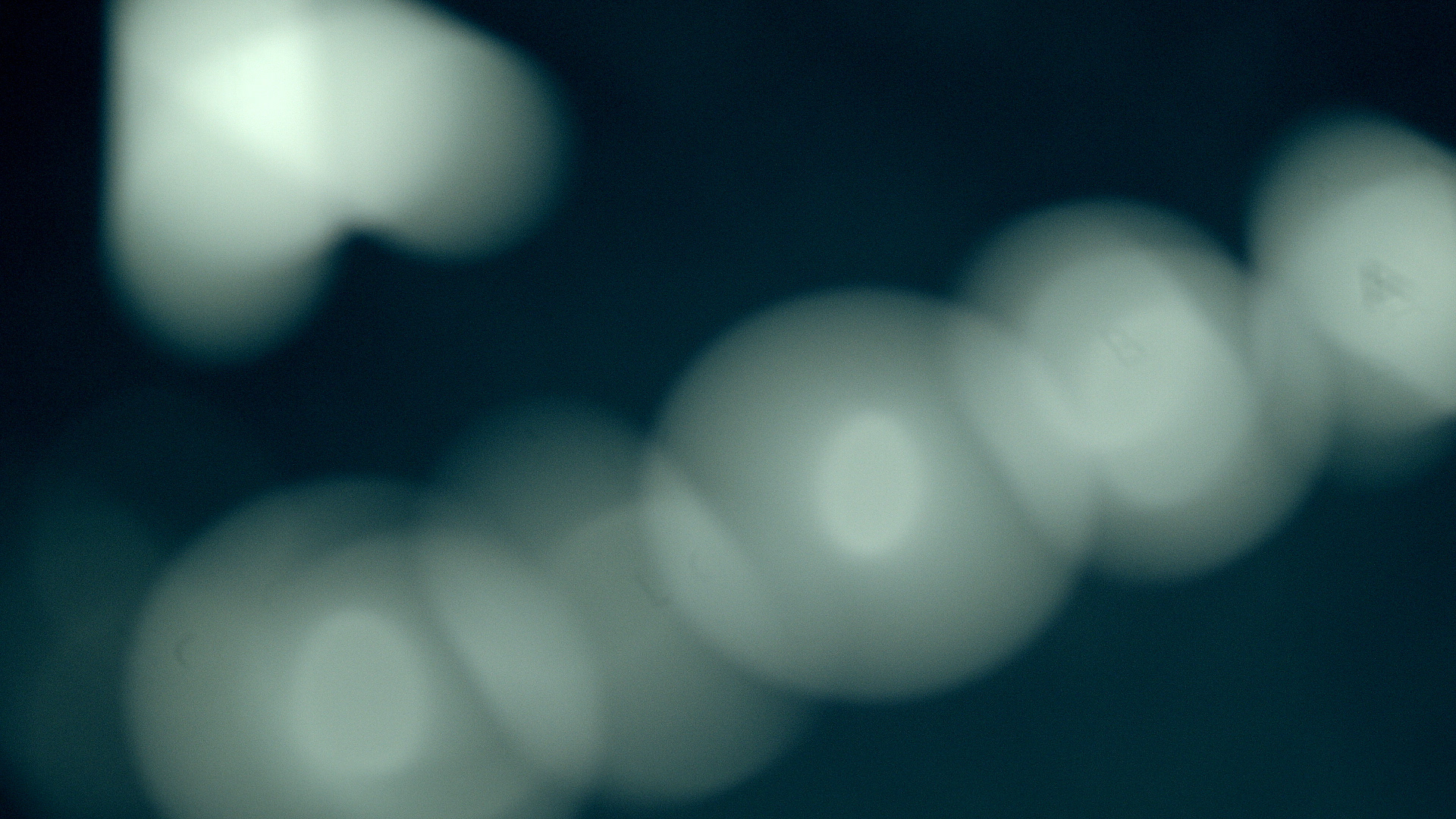 Macro_MATCHBOOK_v012.jpg