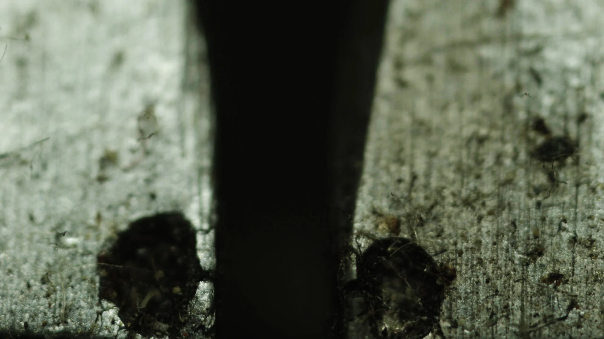 Macro_v10_typewriter_v015.jpg