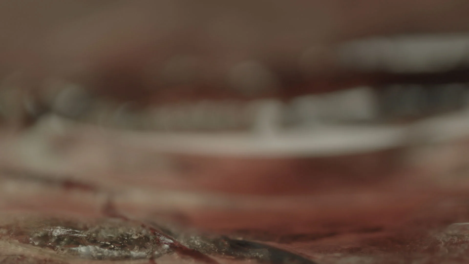 Macro_v008_Placenta11.jpg