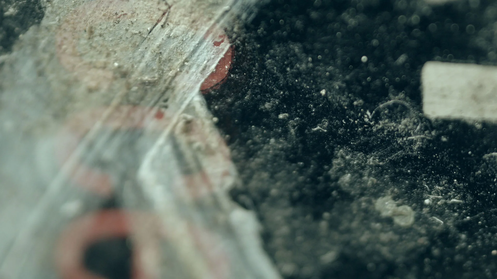 02_macro_series_v2_9.jpg
