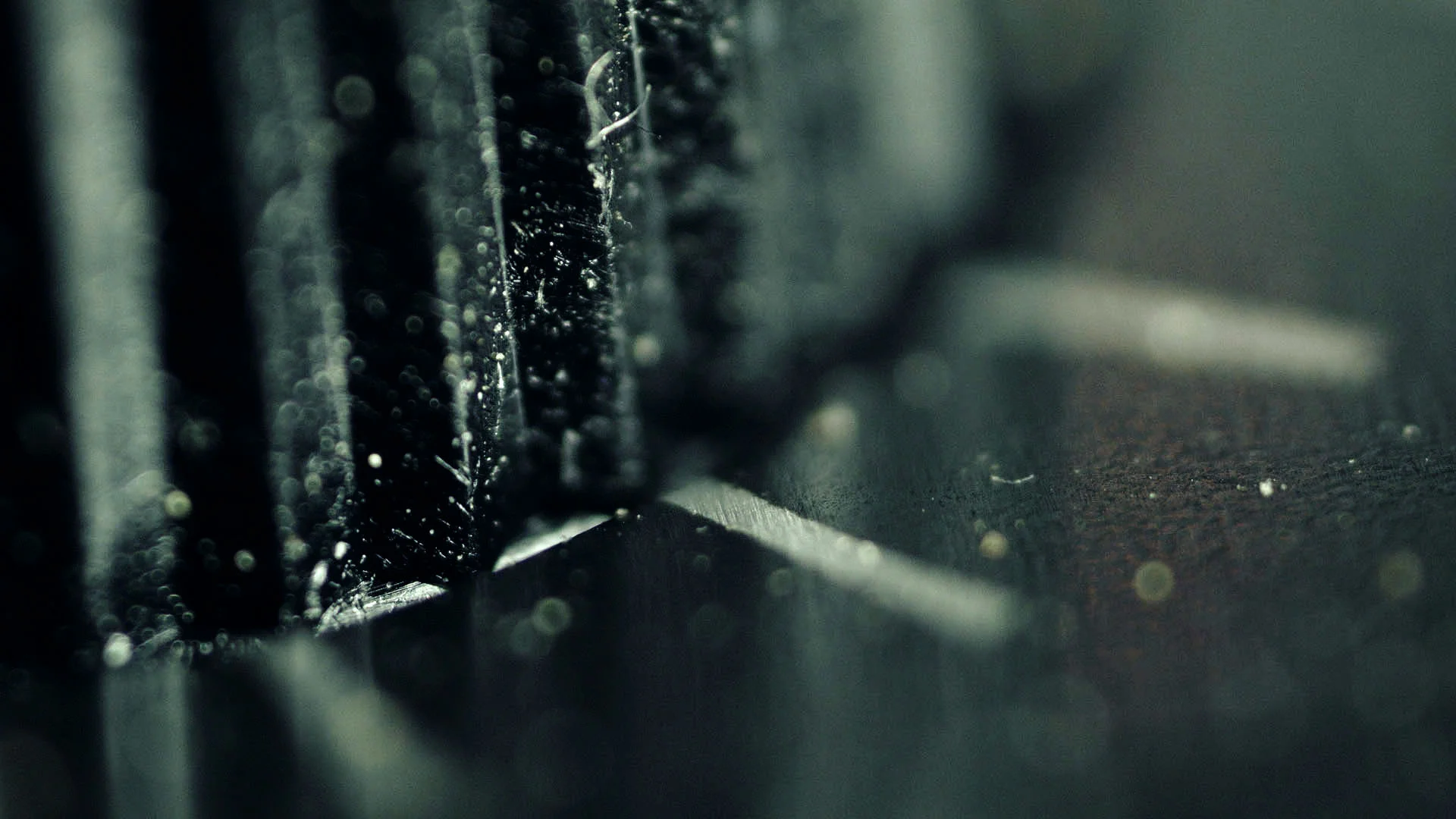 02_macro_series_v2_12.jpg