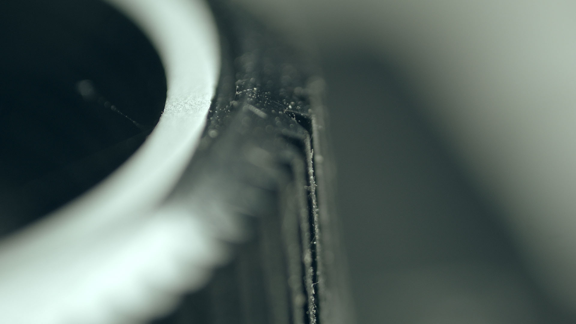 02_macro_series_v2_14.jpg