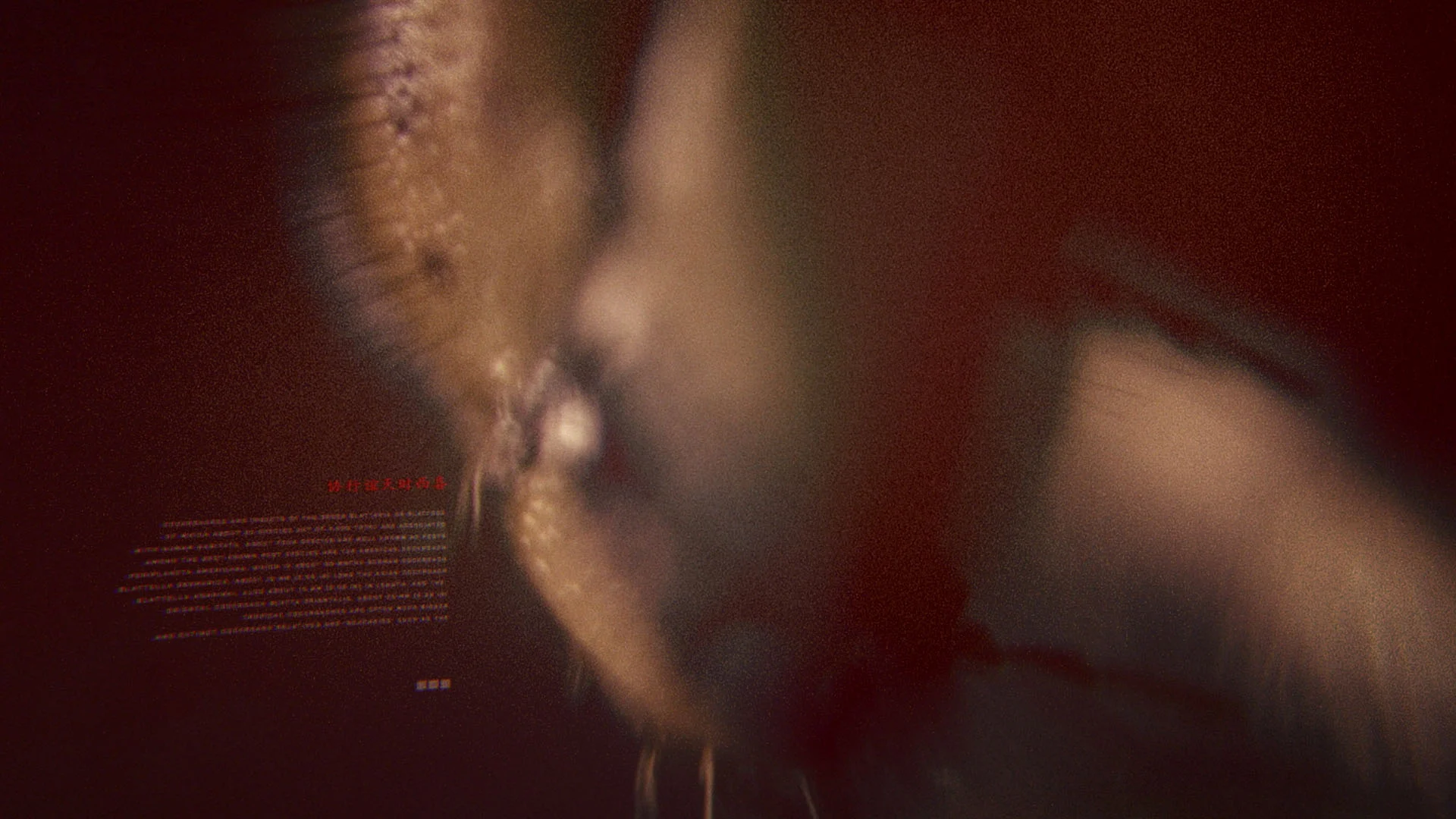 01_macro_series_v3_6.jpg
