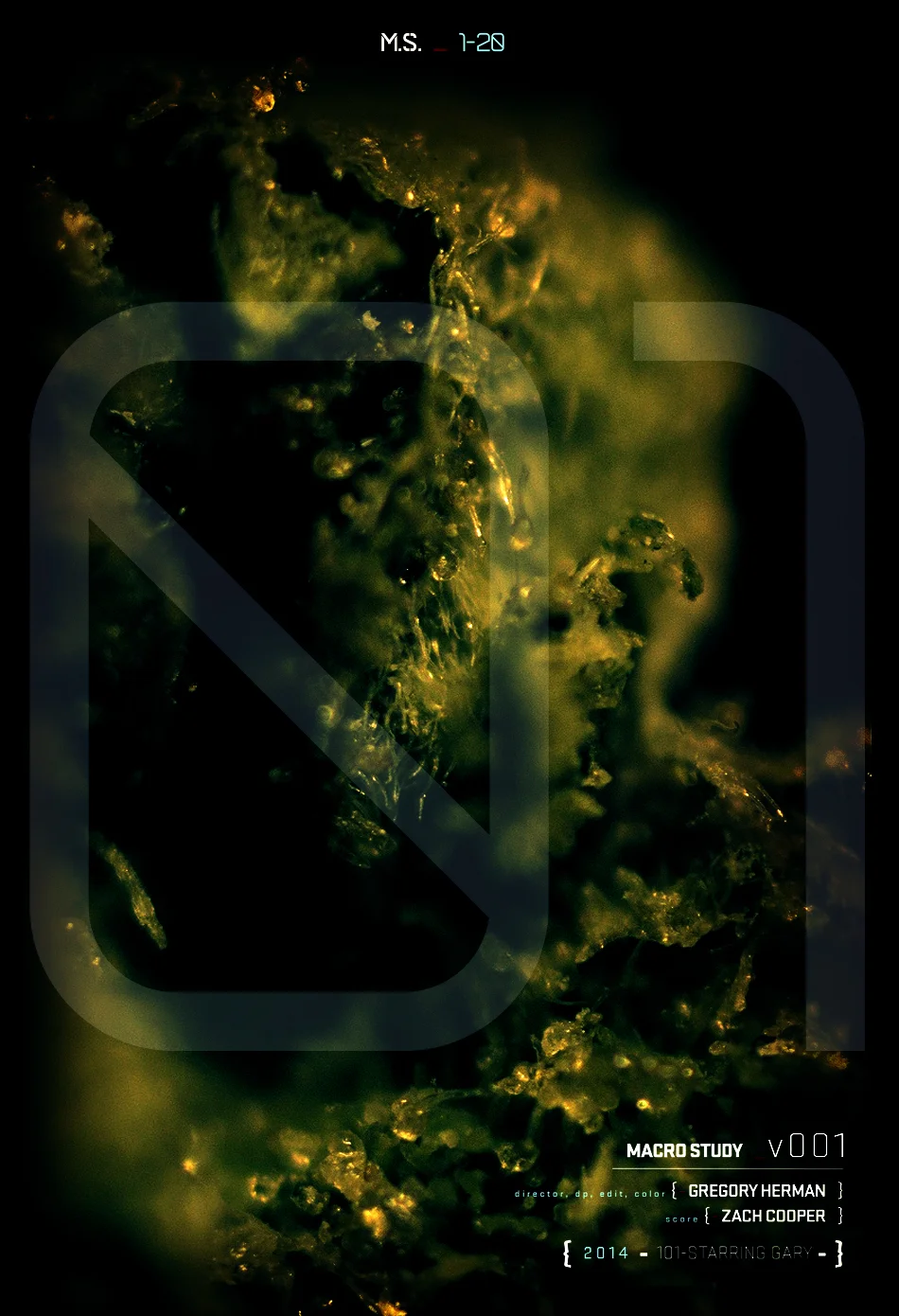 MS-1-20_gary-01-poster.jpg