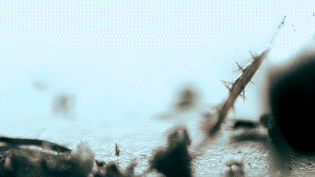 nfts_5.gif