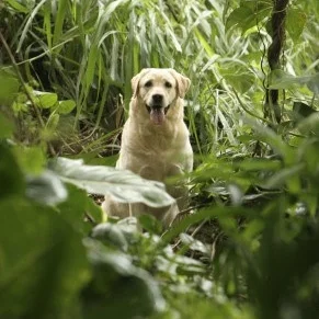 Notes from the Lighthouse