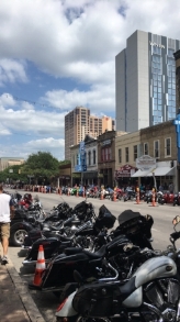 ROT Rally, which did seem quieter this year since they moved the actual parade route to Congress