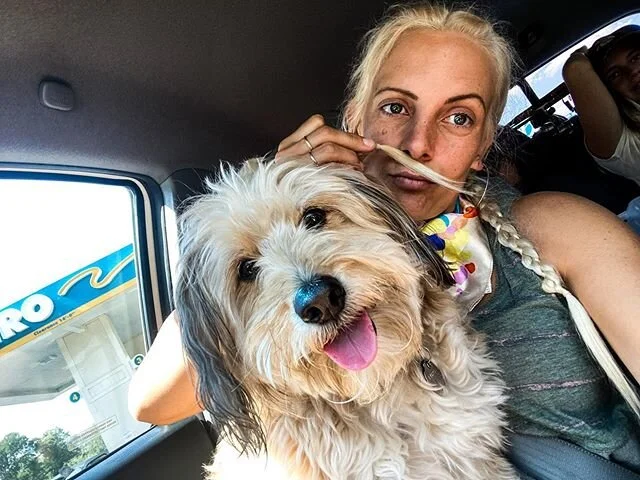 Road trip dawg. #suddenlyseymour 🐾
