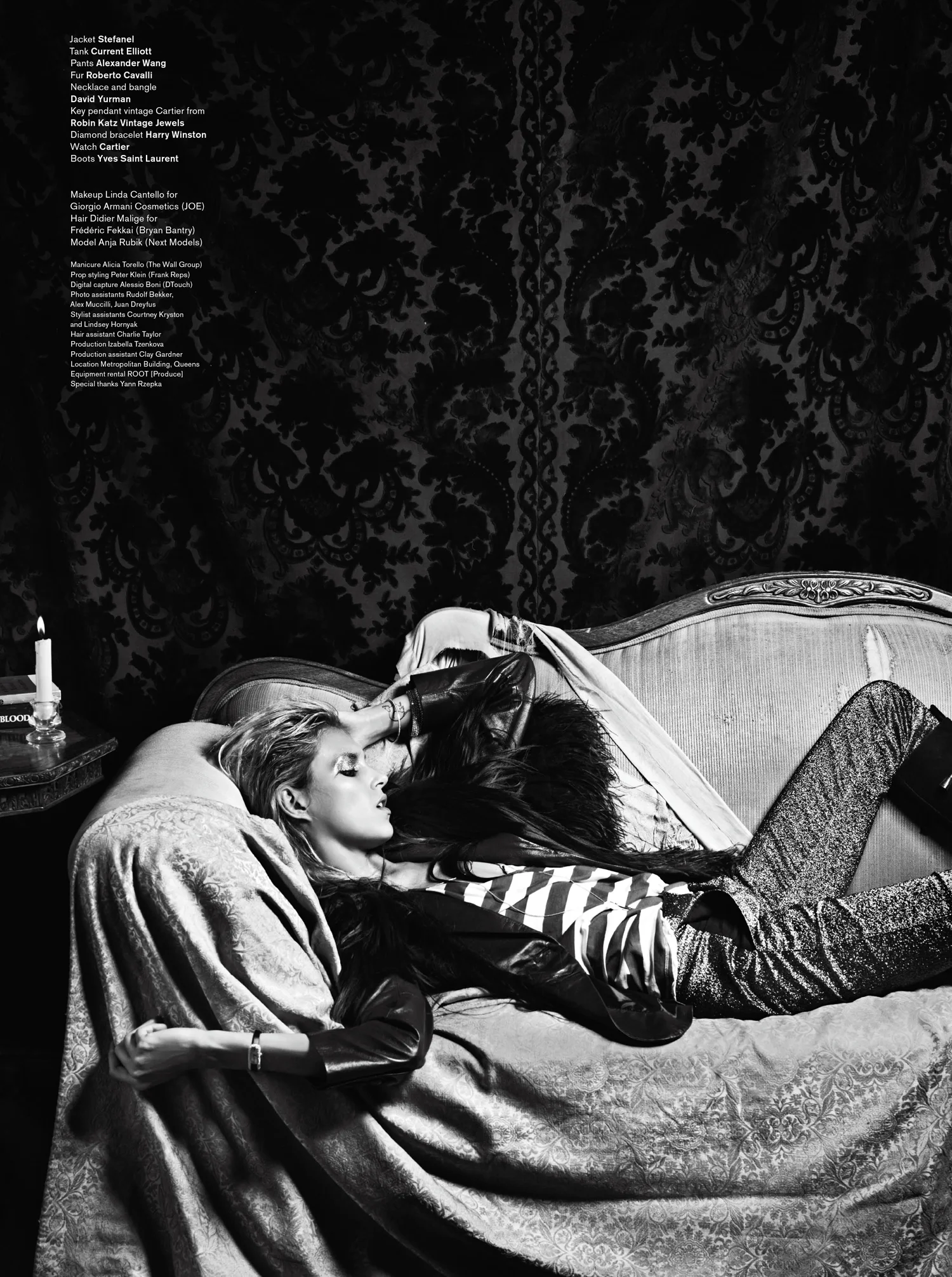 Anja Rubik by Hedi Slimane (Transformer - V #72 Fall 2011) 9.jpg