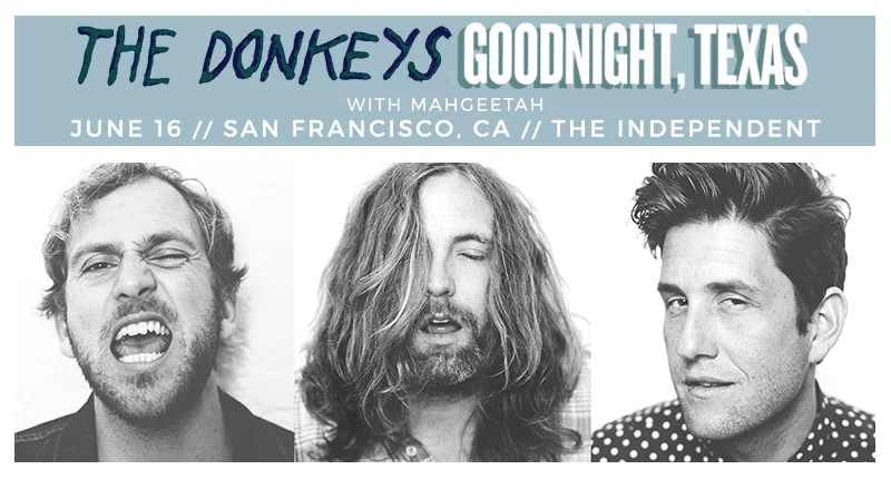 Donkeys_GnTx.jpg