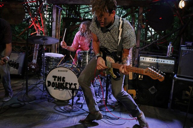 live1.jpg