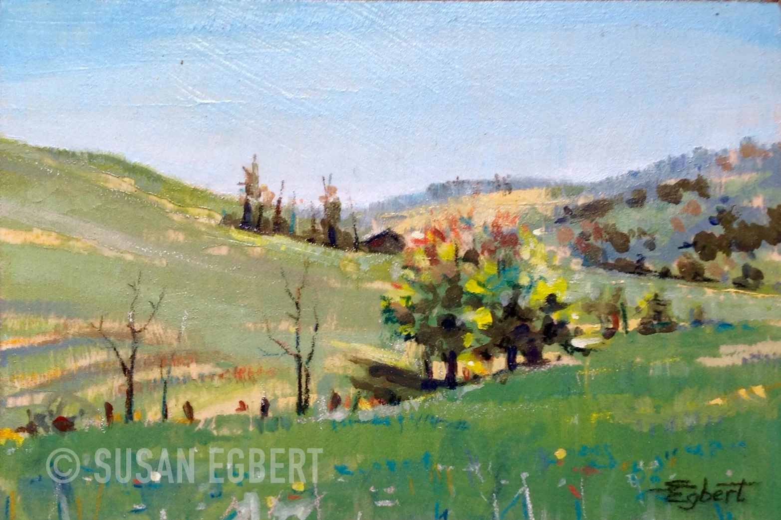 rolling-hills-wm.jpg