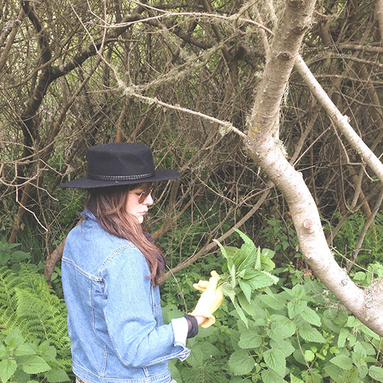 Kelsey Barrett collecting nettles