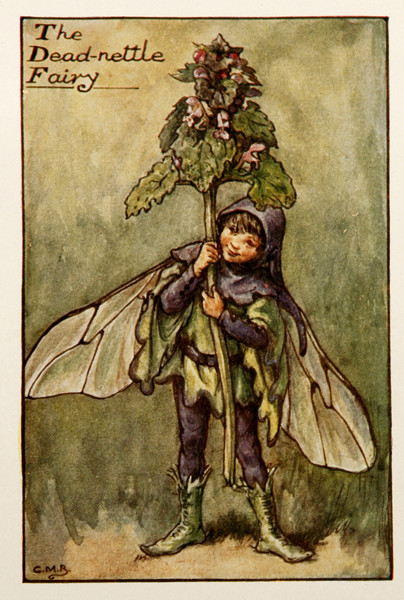 Cicely Mary Barker, "Dead Nettle Fairy", 1920s