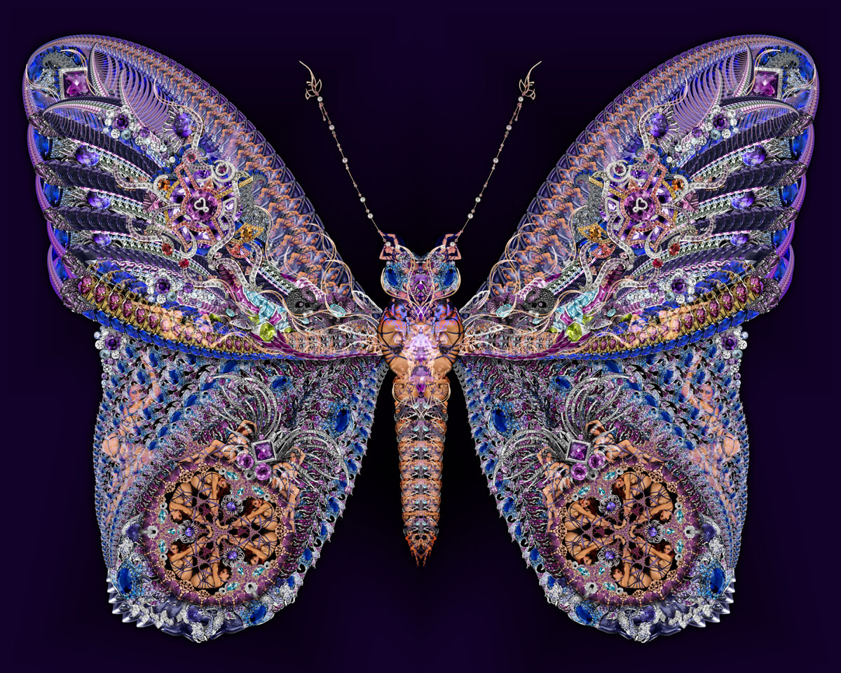 02 Purple Butterfly 1200px.jpg
