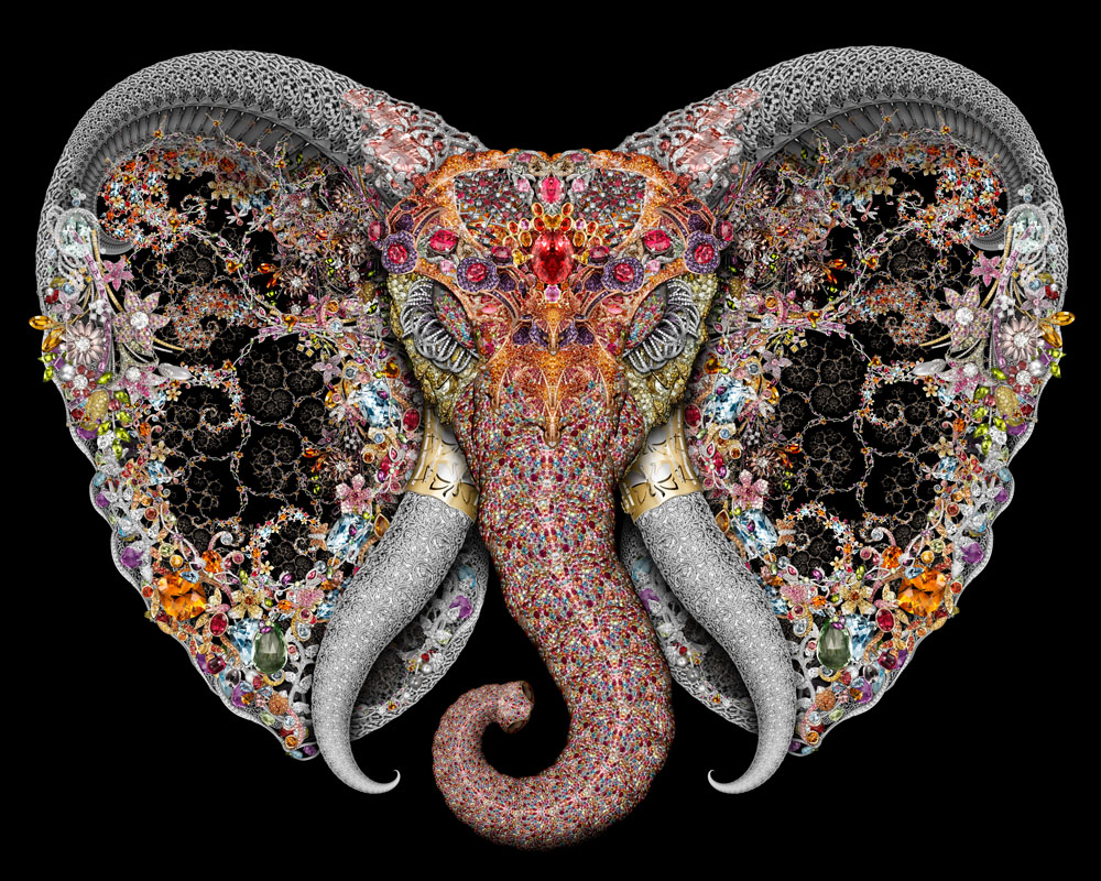 Elephant GKnight EMAIL.jpg