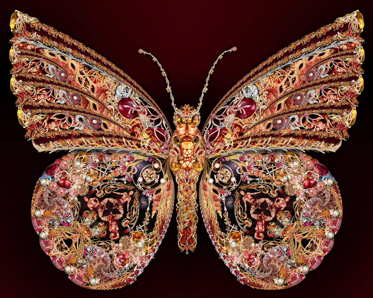 Red Butterfly EMAIL 1000px (1).jpg