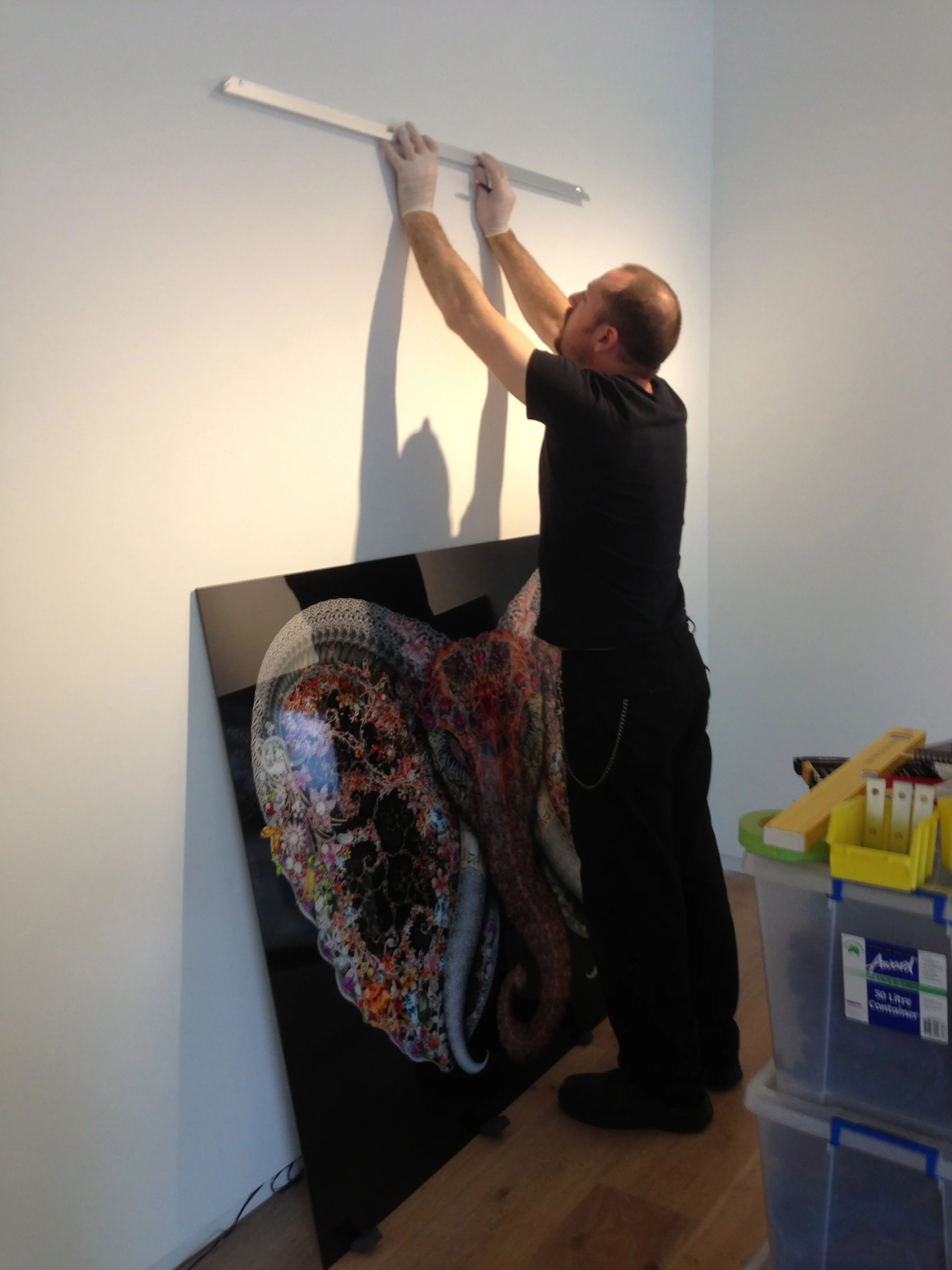 Garth hanging the stunning Elephant