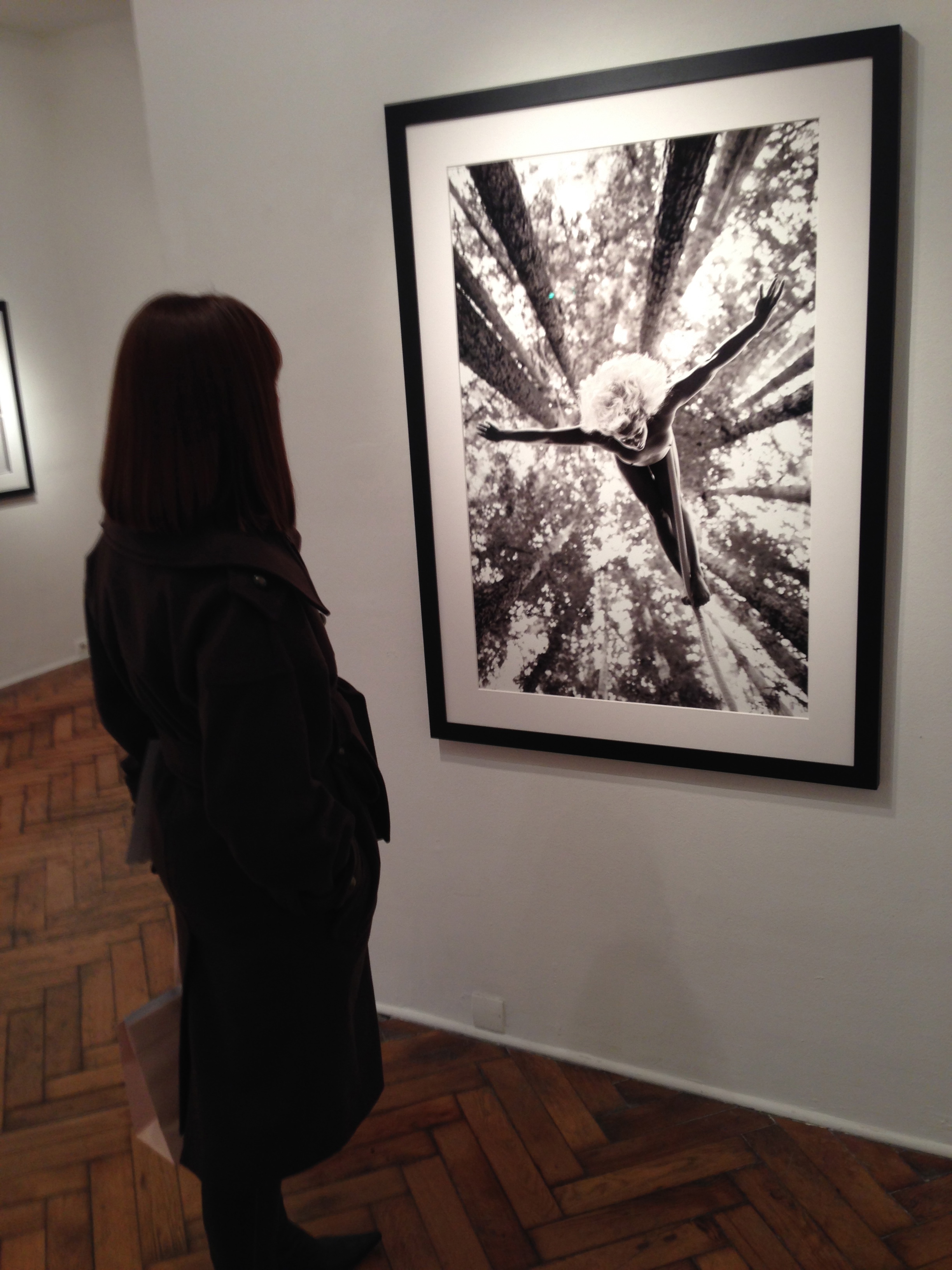 Acey Harper, 'No Limits 2' @ Galerie Hug, Paris 4.12.13