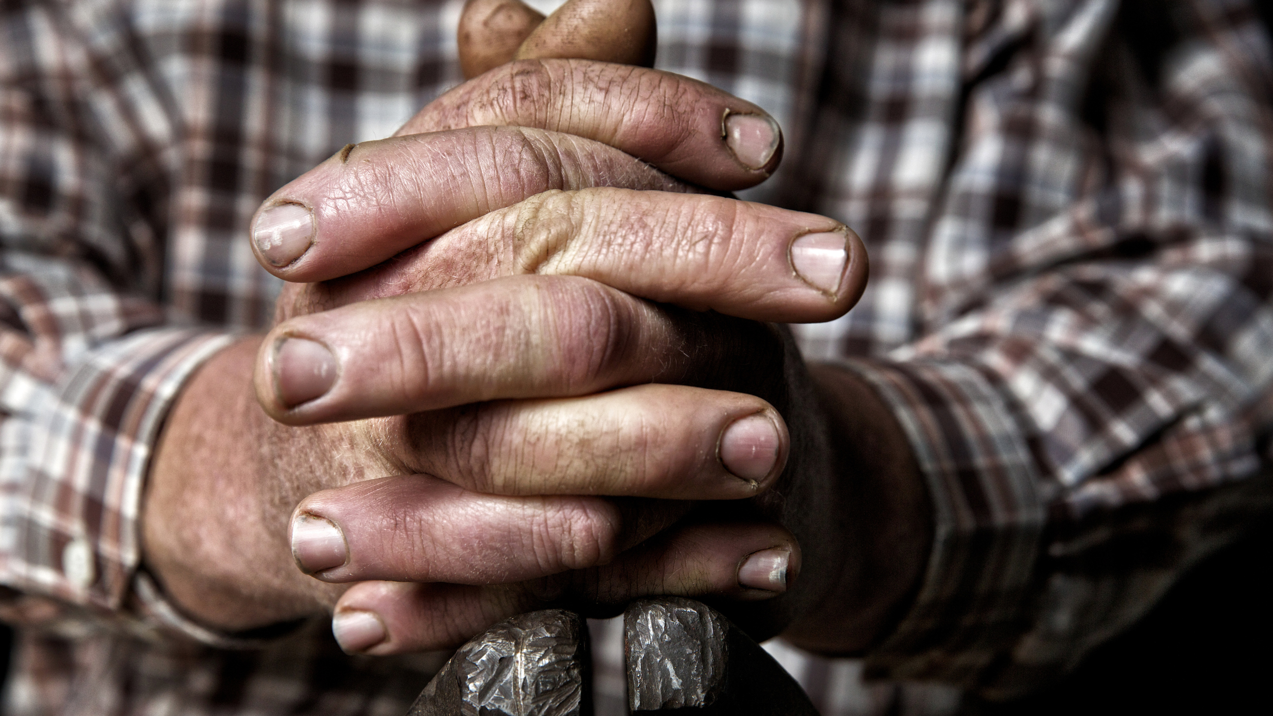 3H3A8691 - Version 2.jpg