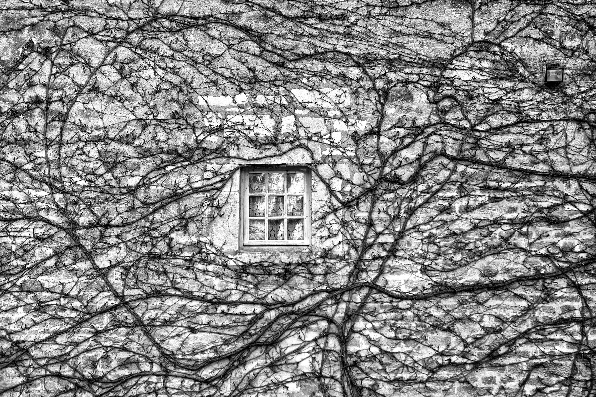 0I4A2700 - Version 2 copy.jpg