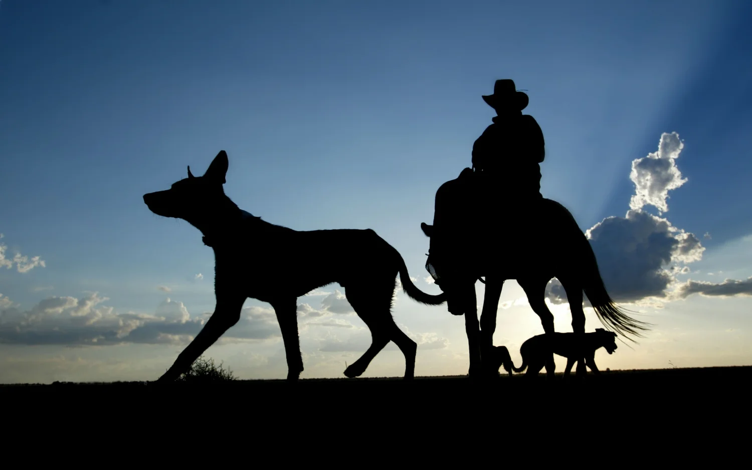 Russell Bradford/Drover outside Coonamble on the Combara Stock Route for the Sydney Morning Herald