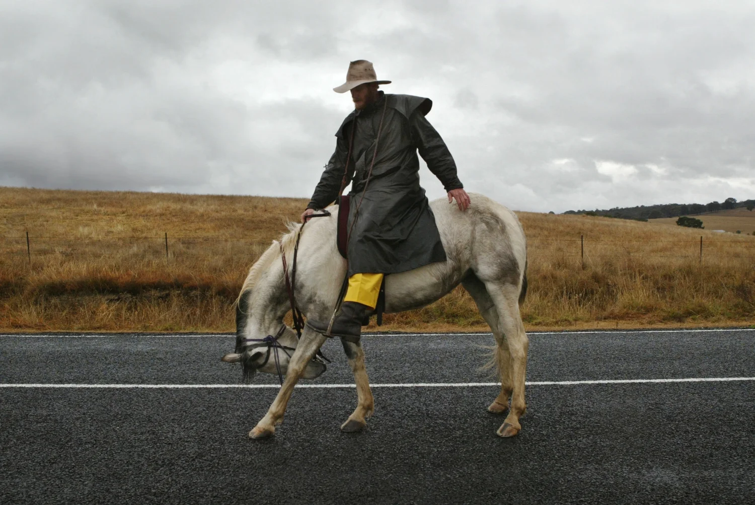 James Death/Drover pushes cattle along Goulburn Road south of Bathurst. For the Sydney Morning Herald