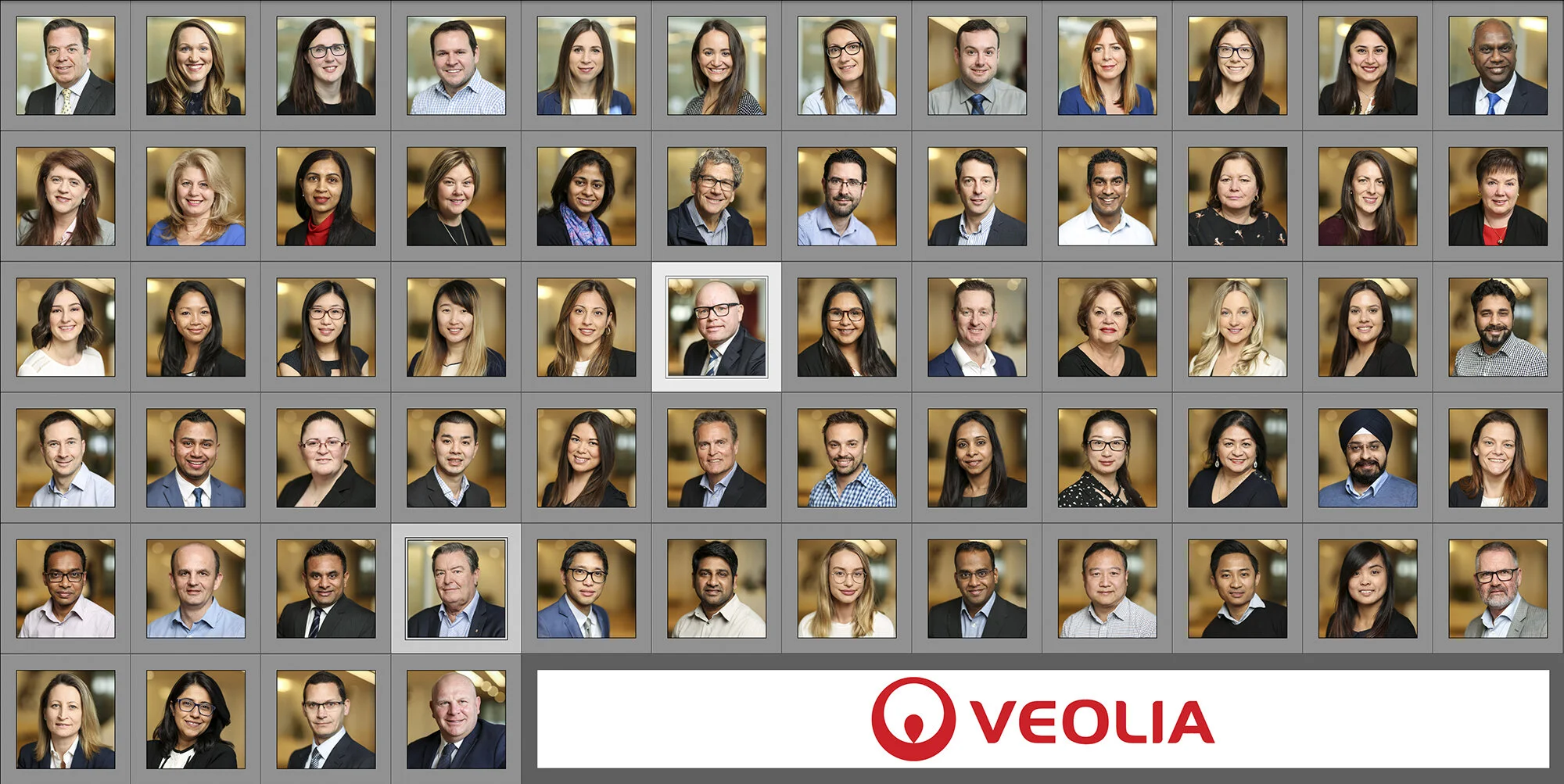Veolia staff2000px.jpg