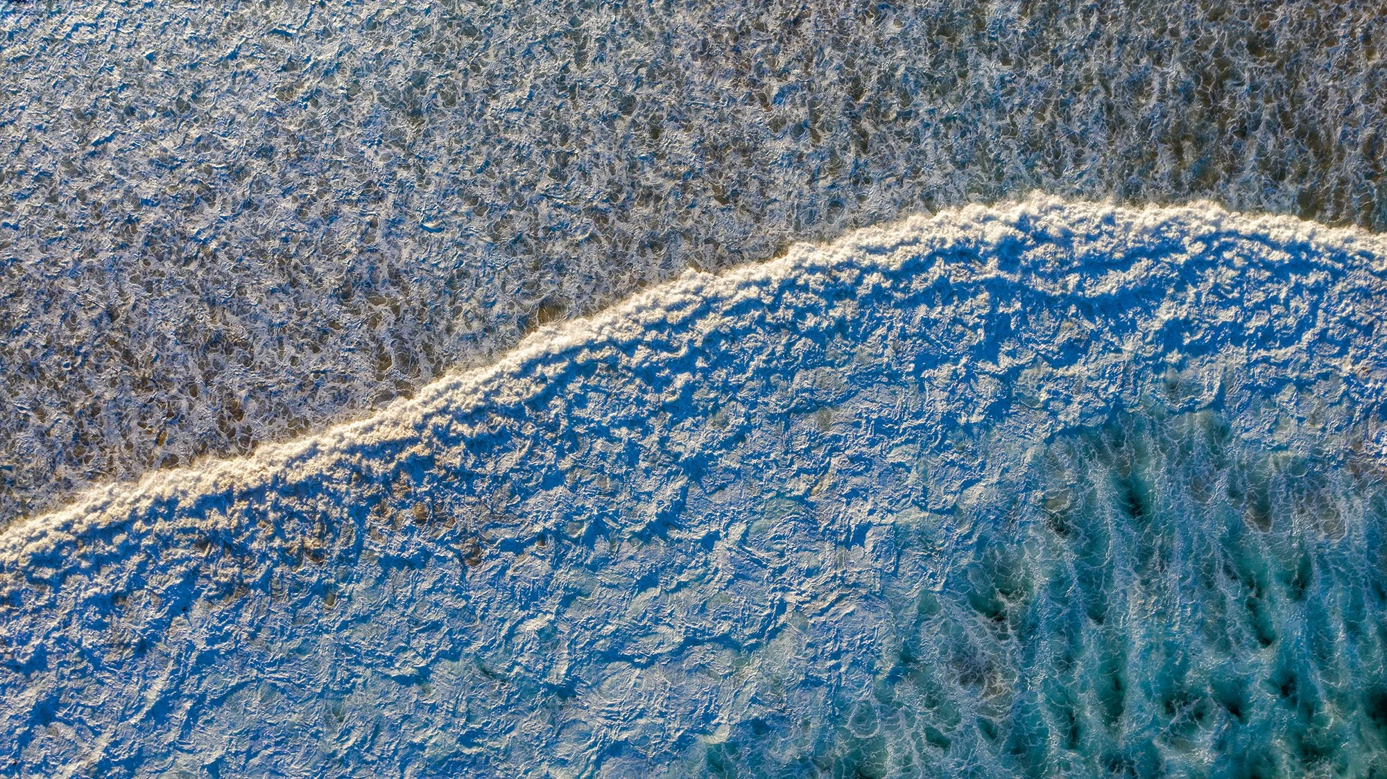 freshwater 2000.jpg