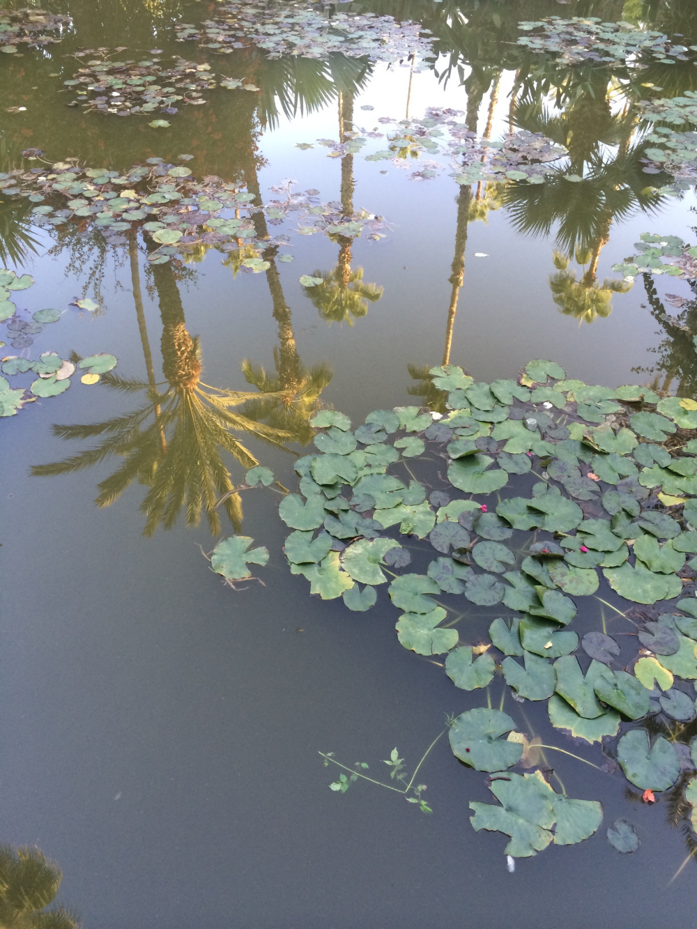 Image 15.jpg