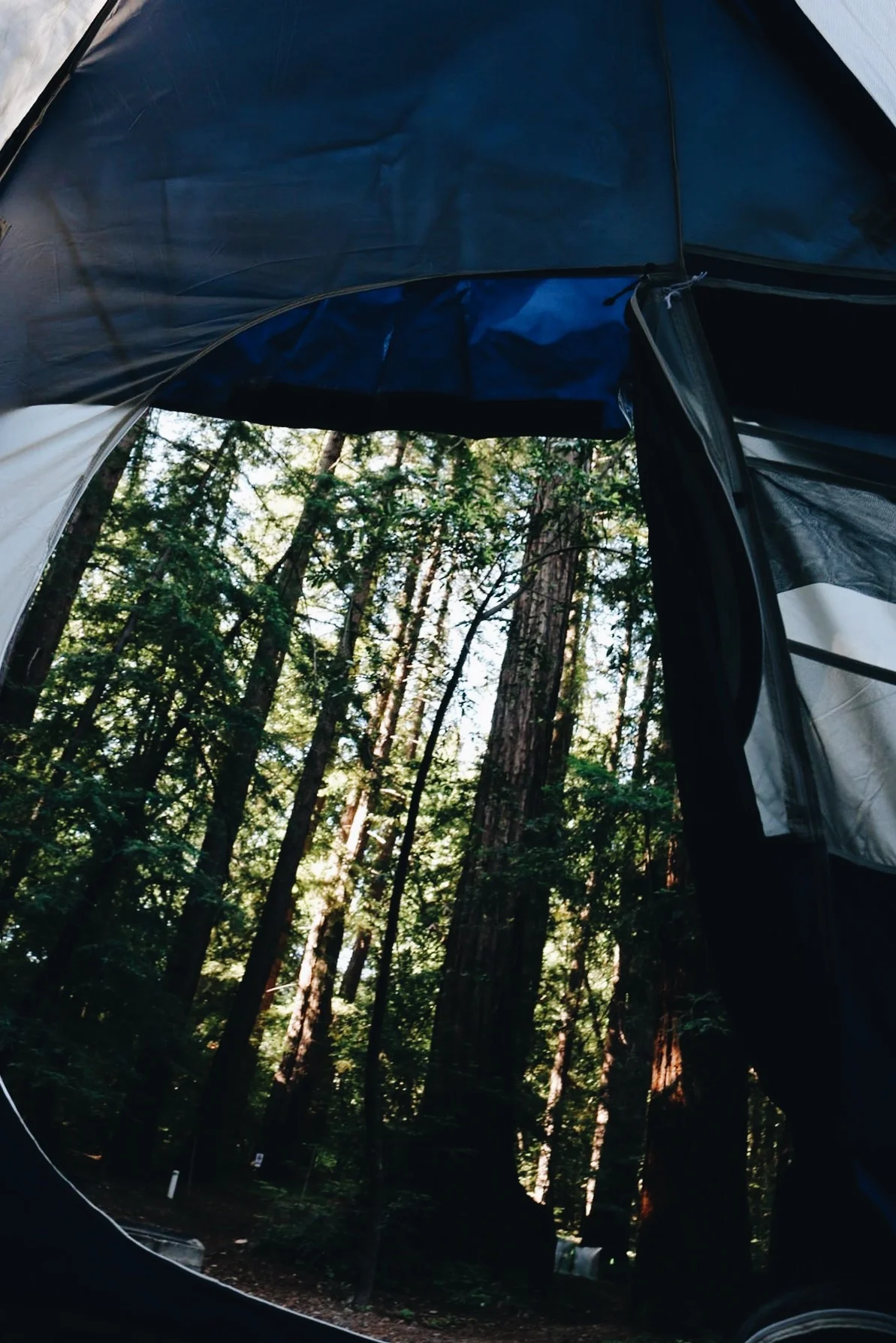 Tent views in Pfieffer Big Sur State Park.