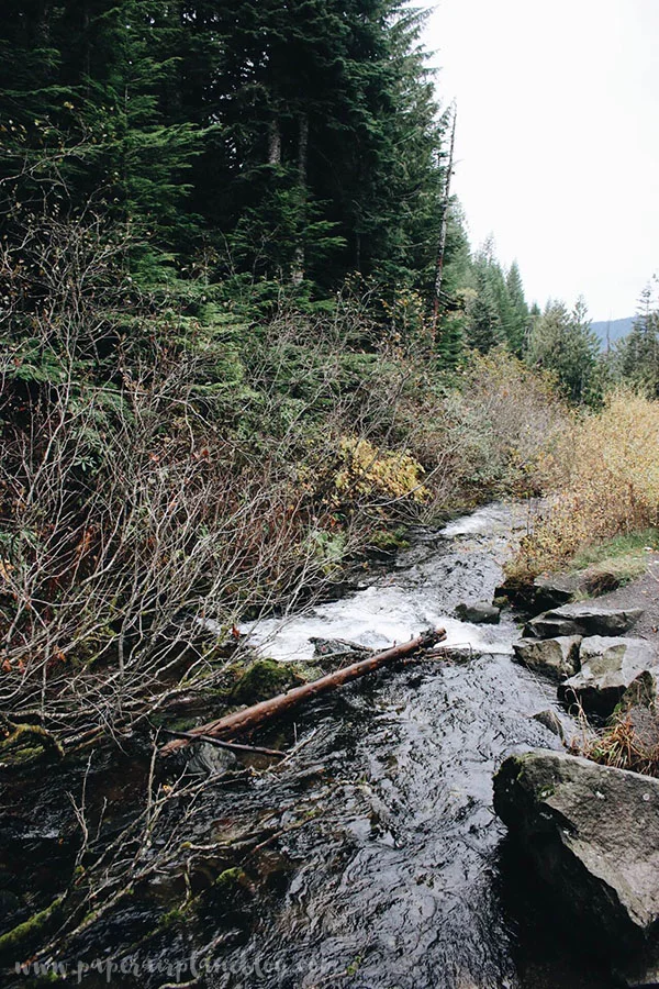 paperairplaneblog_mthood.jpg